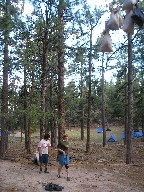 Bear Bags at Tooth Ridge Camp